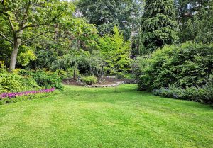 Optimiser l'expérience du jardin à Louresse-Rochemenier